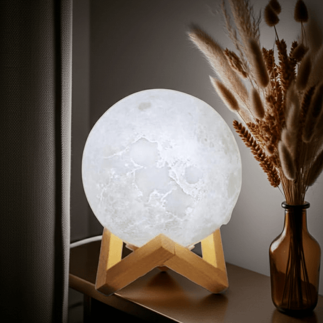 3D Moon Lamp - SmartSouks