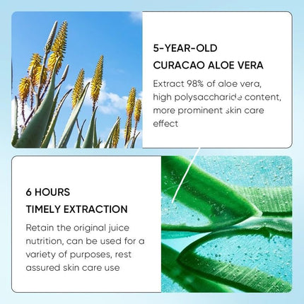 Aloe Vera Moisturizing Lip Balm