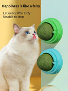 Catnip Ball With Rotating Feature For Grinding Teeth And Cleaning - SmartSouks