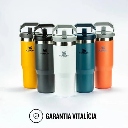 IceFlow™ Flip Straw Tumbler | 0.89L - SmartSouks