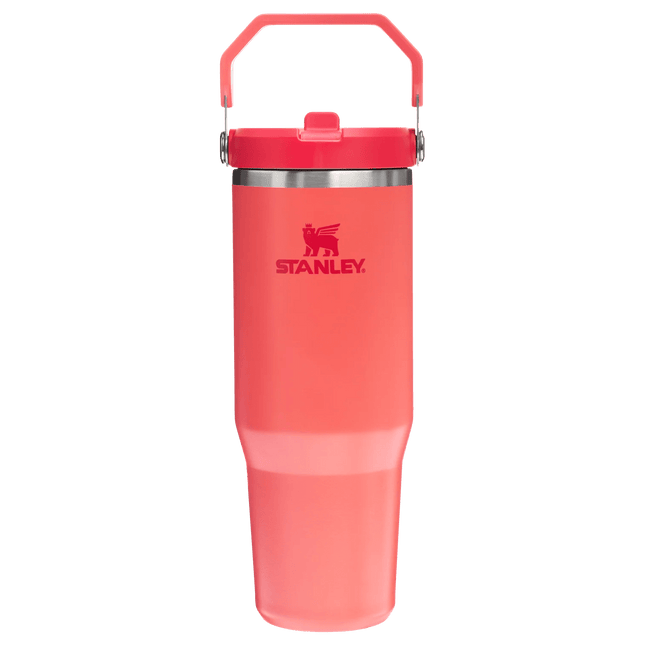 IceFlow™ Flip Straw Tumbler | 0.89L - SmartSouks