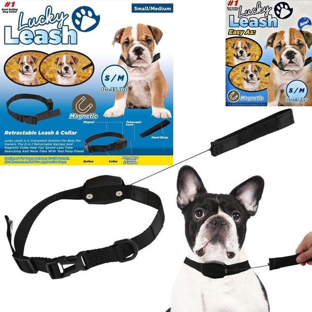 Lucky Leash #A1288