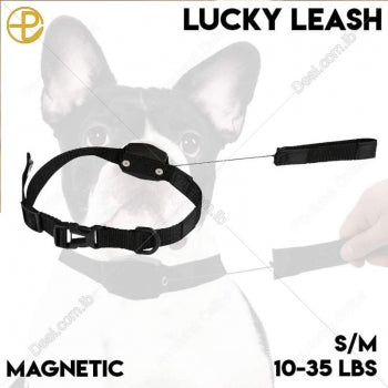 Lucky Leash #A1288